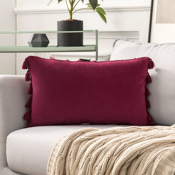 WARISI Tassels Velvet Throw Pillow & Reviews Wayfair